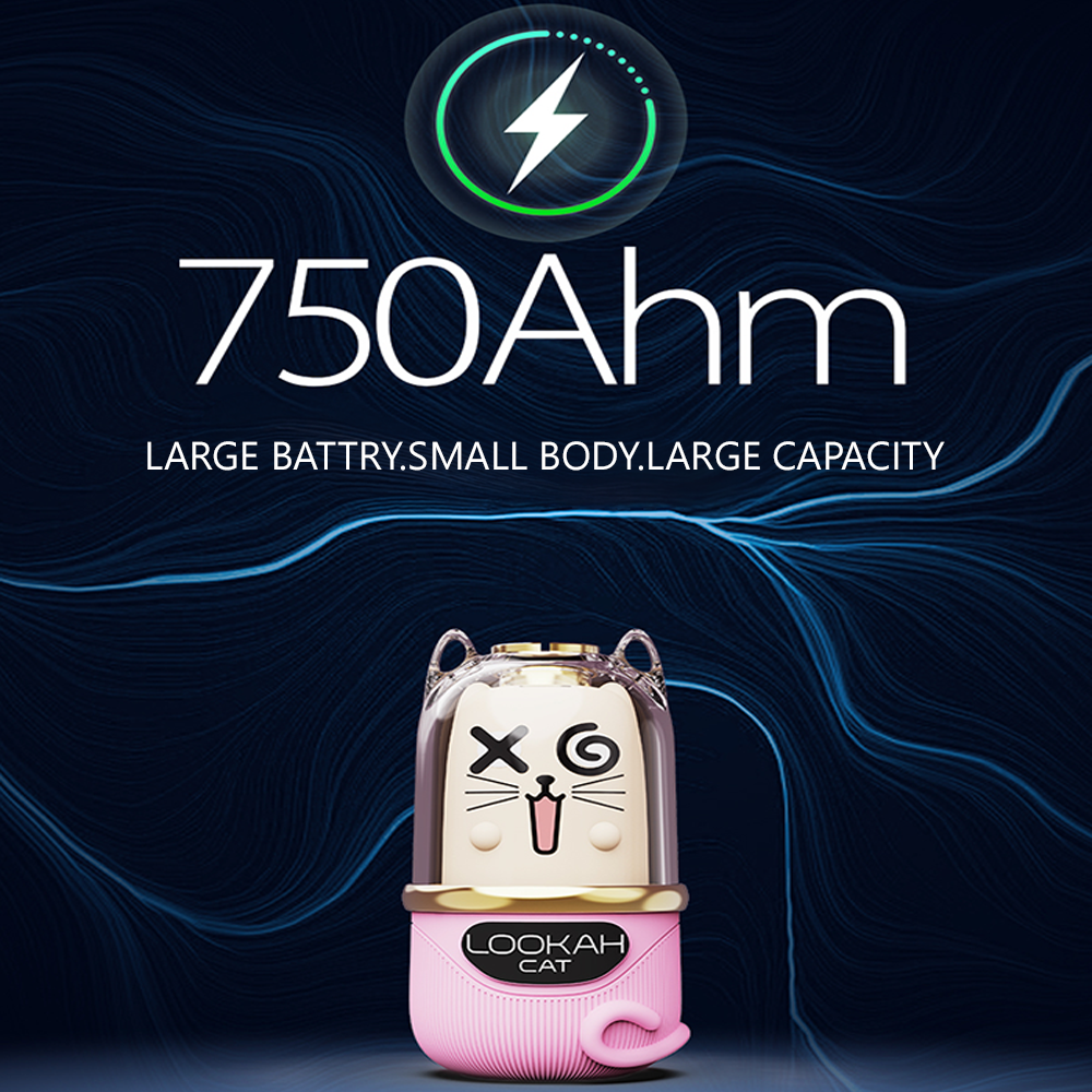 LARGE CAPACITY LARGE CAPACITY