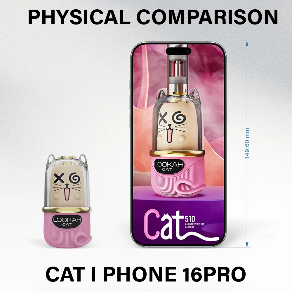 PHYSICAL COMPARISON PHYSICAL COMPARISON